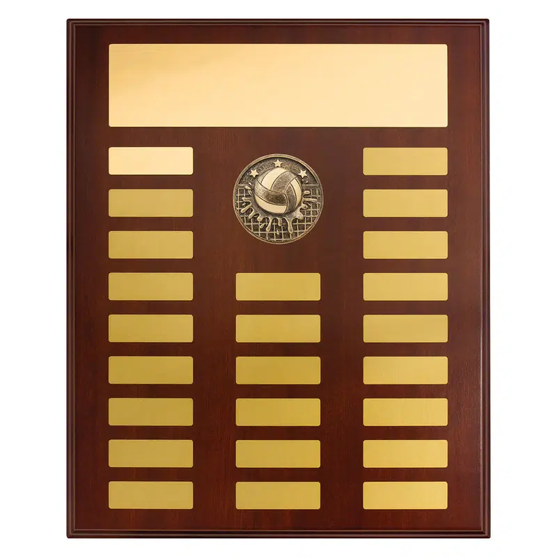 Perpetual Plaque - Water Polo 380mm