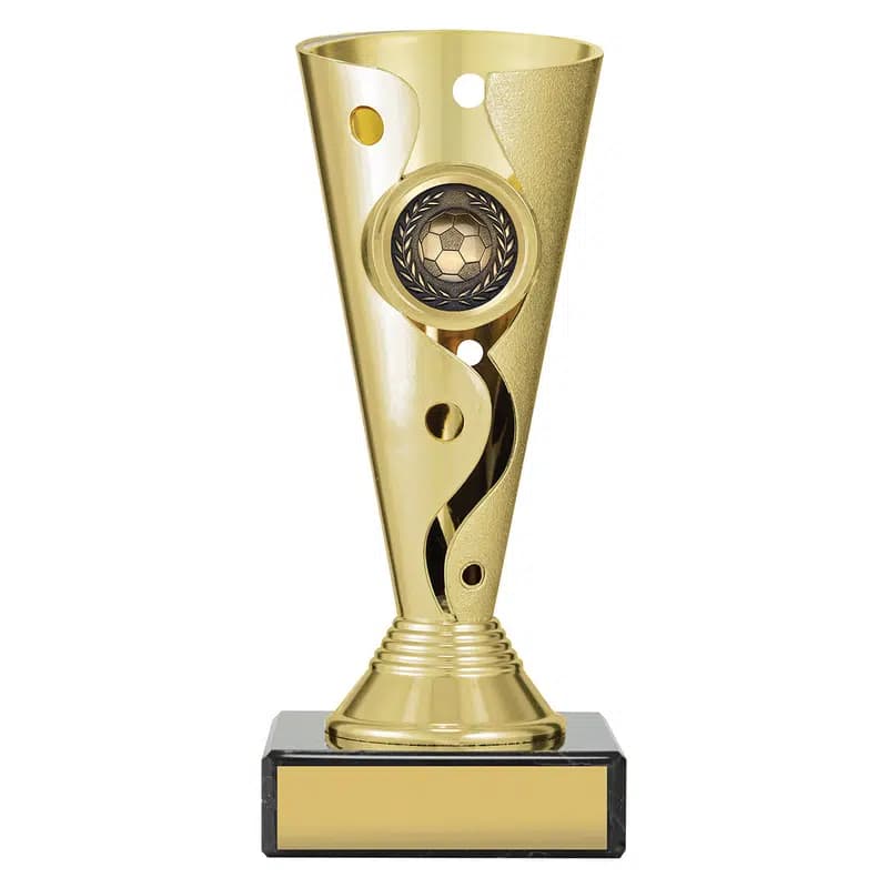 Carnival Cup - Football / Soccer