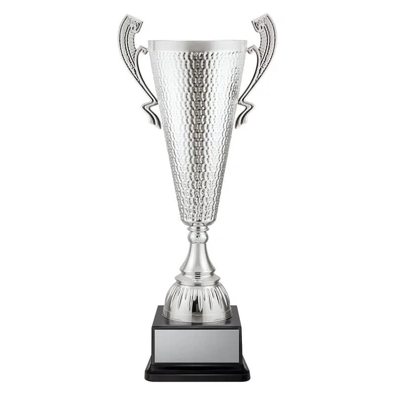 Sentinel Cup