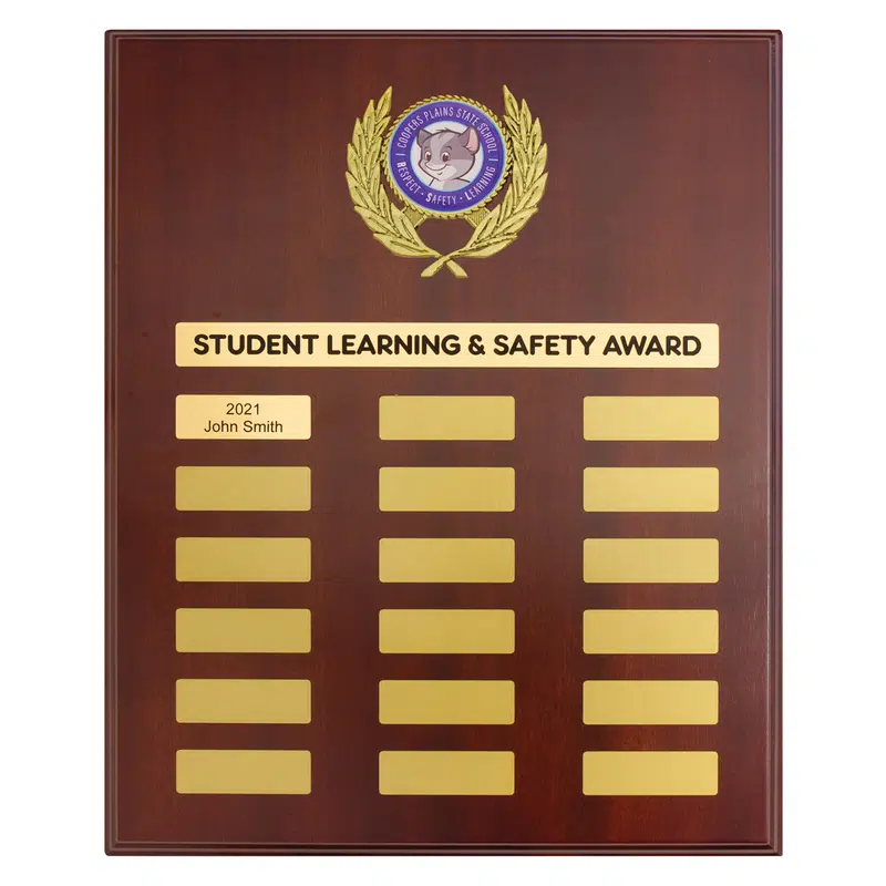 Standard Logo Plaque 380mm