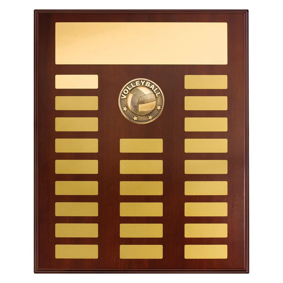 Perpetual Plaque - Volleyball 380mm