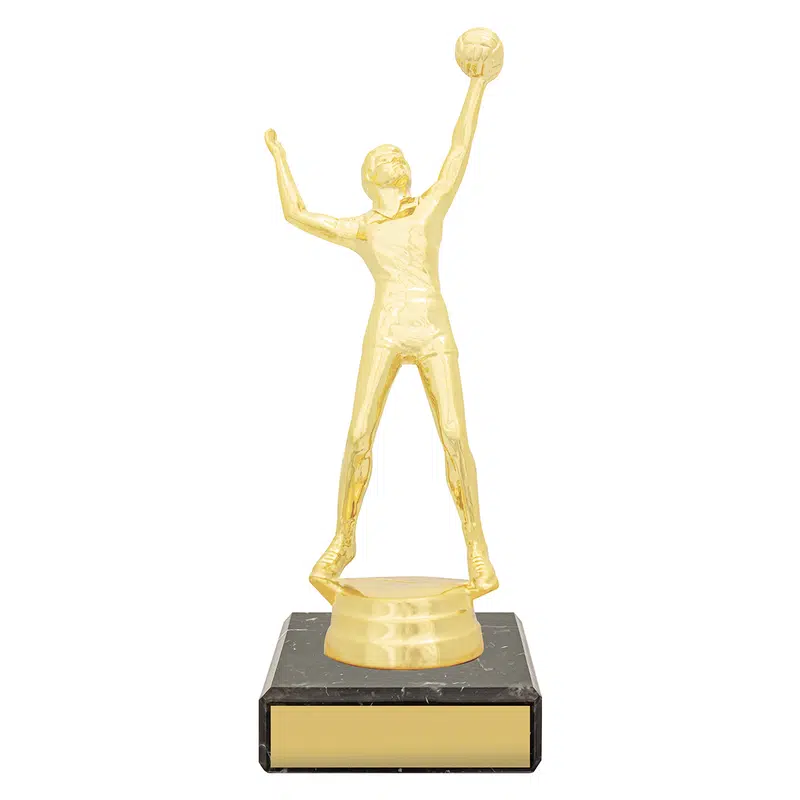 Figure Trophy - Male Volleyball 170mm